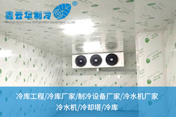 冷庫(kù)工程奇跡：如何實(shí)現(xiàn)極致溫控與能效雙贏(yíng)？